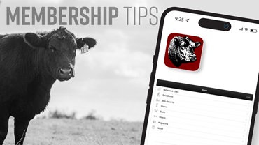 0425-membertips16x9