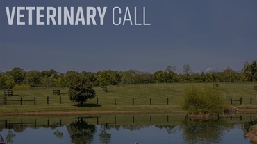 0425-vetcall16x9