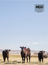 Current Angus Journal Issue Cover