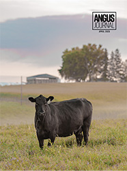 Current Angus Journal Issue Cover