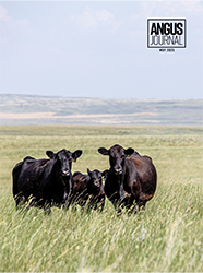 Current Angus Journal Issue Cover