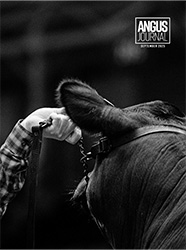 Current Angus Journal Issue Cover
