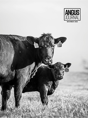 Current Angus Journal Issue Cover