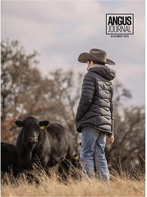 Current Angus Journal Issue Cover