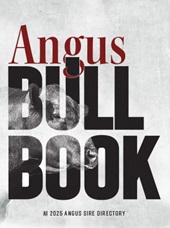 Angus Bull Book