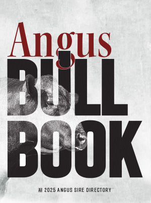 Angus Bull Book