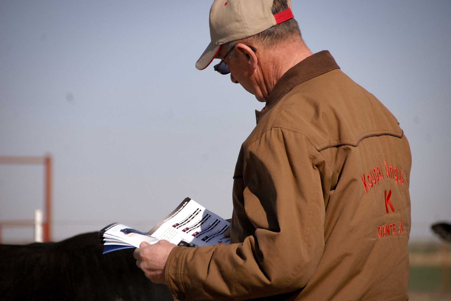 Man looking at a catalog.