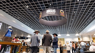 Three men collaborating together at the 2023 Annual Angus Convention.