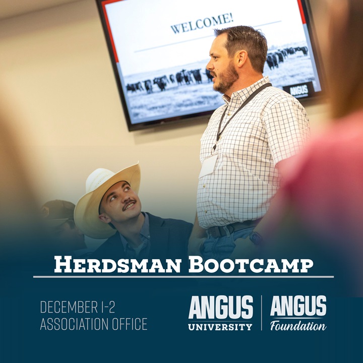 The Herdsman Bootcamp is brought to you by Angus University and the Angus Foundation.
