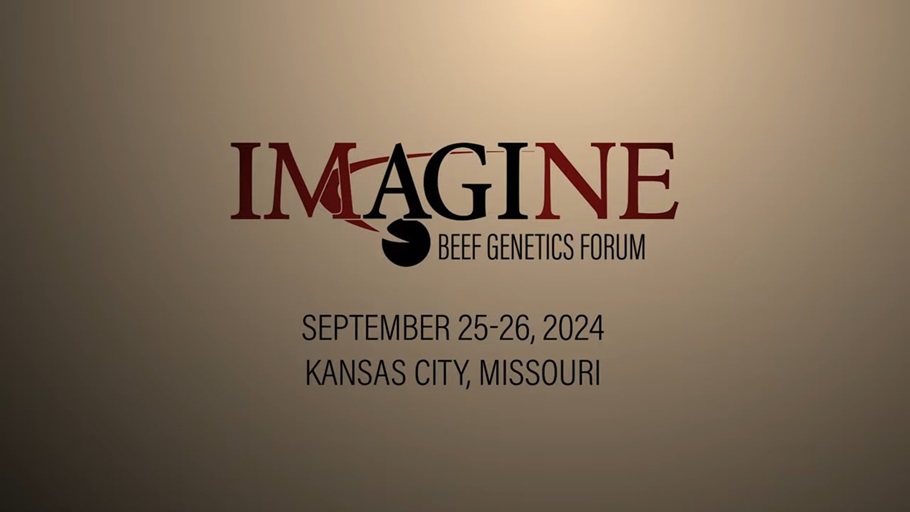 Imagine agi s beef genetics forum
