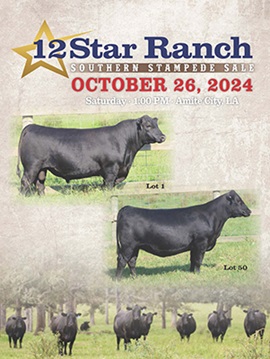 12 Star Ranch