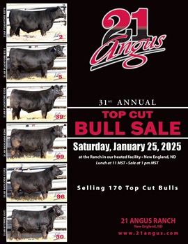 21 Angus 31st Annual Top Cut Bull Sale