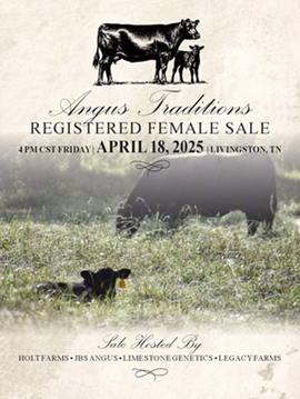 Angus Traditions SB Cover