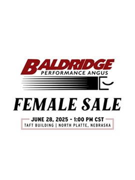 Baldridge Sale Book Cover