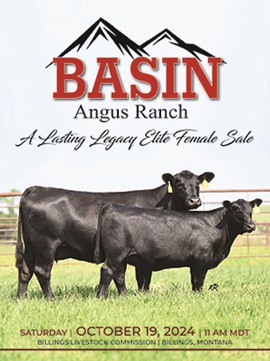 Basin Angus A Lasting Legacy Elite Angus Female Sale