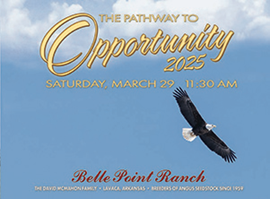 Belle Point Sale Book