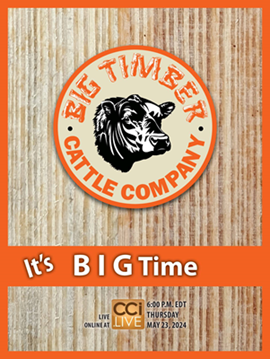 Big Timber Sale Book Cover