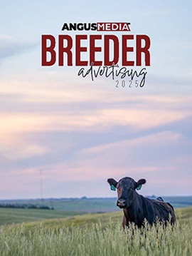 Breeder Media Kit