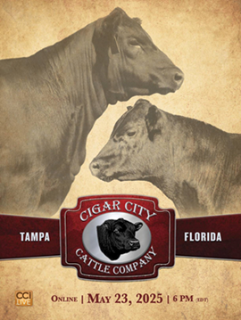 Cigar City Cattle Co. Sale Book Cover
