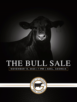 Circle G Sale Book Cover