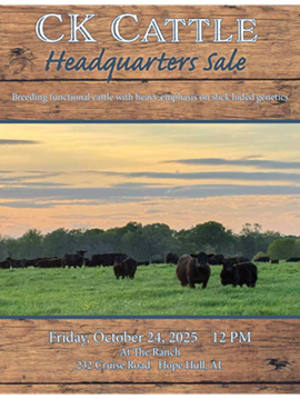 CK Cattle Headquarters Sale