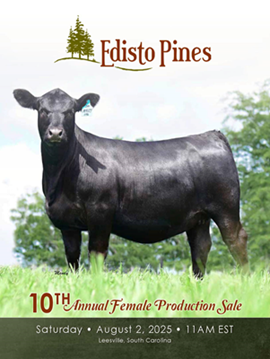 Edisto Pines Sale Book Cover