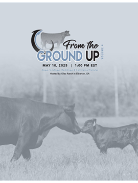 From the Ground Up
