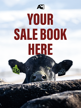 Feature YOUR Sale book here!