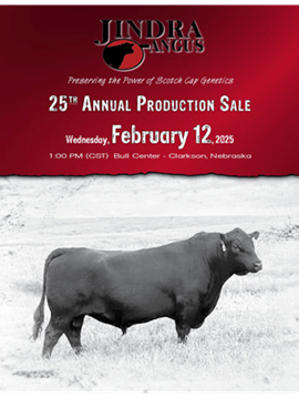 Jindra Angus Sale Book Cover