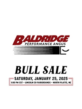 Baldridge Bull Sale