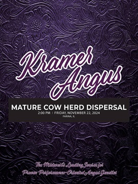 Kramer Angus Mature Cow Herd Dispersal