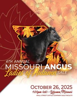 Ladies of Autumn Cover 