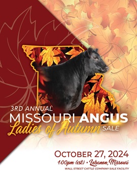 MO Ladies of Autumn Sale Book