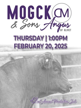 Mogck & Sons Angus