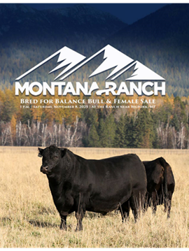 Montana Ranch