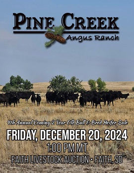 Pine Creek Angus Ranch