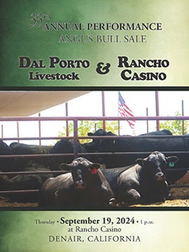 Dal Porto Livestock and Rancho Casino Bull Sale