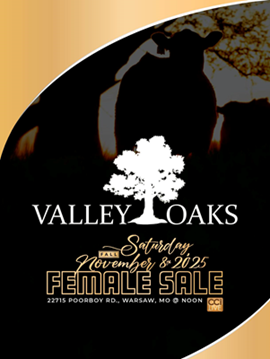 Valley Oaks Cover