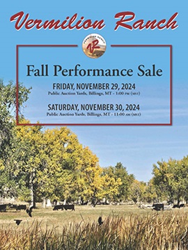 Vermilion Ranch Fall Performance Bull and Female Sale