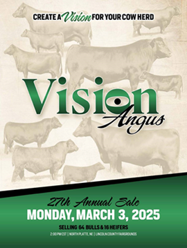 Vision Angus Sale book 