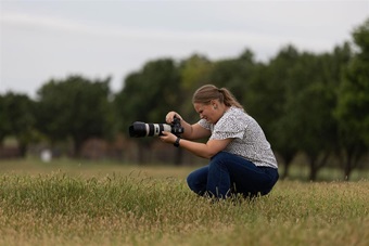 A young woman in a pasture taking photos of cattle.