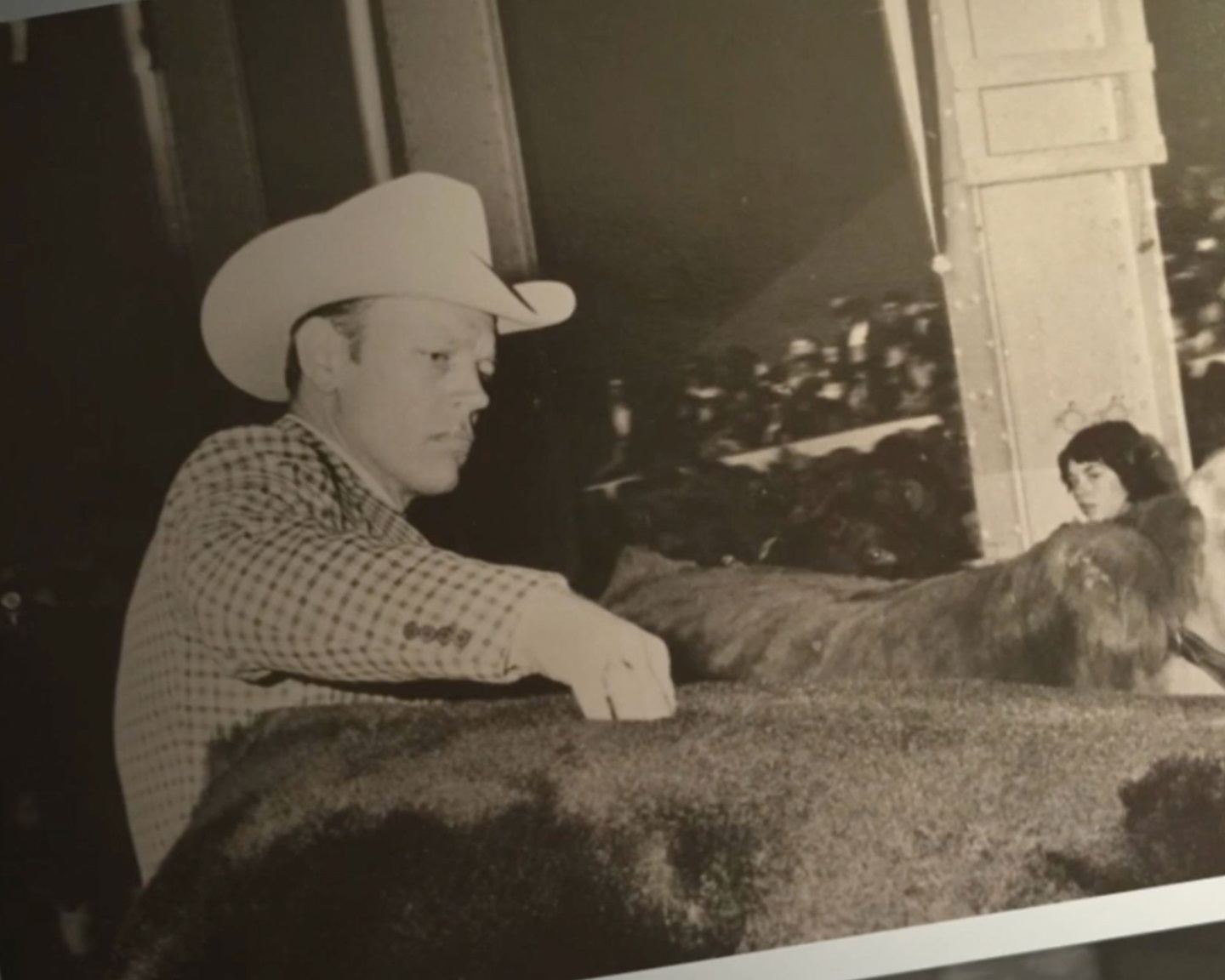 Dr. Harlan Ritchie, 2024 Angus Heritage Foundation inductee (posthumously), evaluating cattle at the National Western Stock Show.