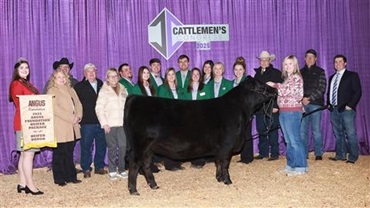 The 2025 Angus Foundation Heifer Package, donated by Pollard Farms of Waukomis, Oklahoma, was purchased by Lylester Ranch of Martell, Nebraska, for $75,000 on January 10 at Cattlemen’s Congress in Oklahoma City.