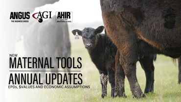 EPDs, $Values, and Economic Assumptions update to new maternal tools and annual updates.