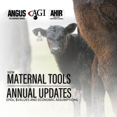 EPDs, $Values, and Economic Assumptions update to new maternal tools and annual updates.