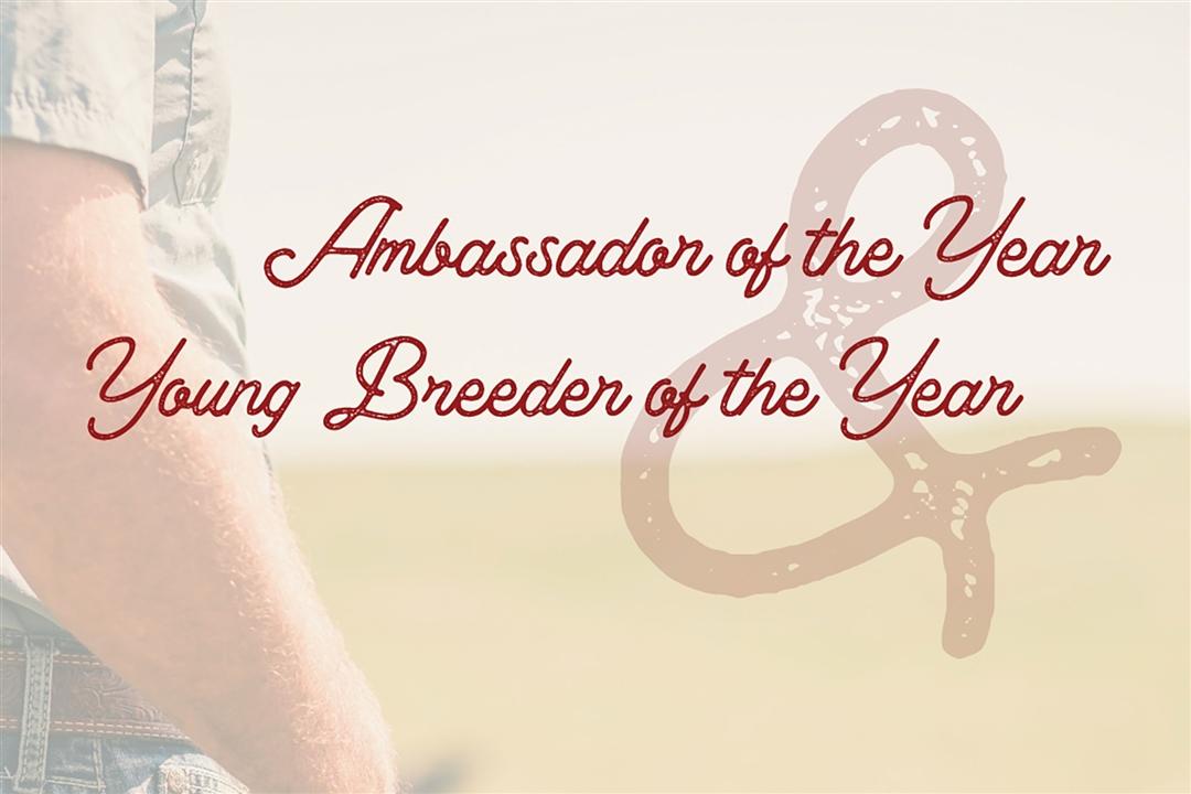 Applications are open through March 15th for 2025 Angus Ambassador and Young Breeder Awards. 