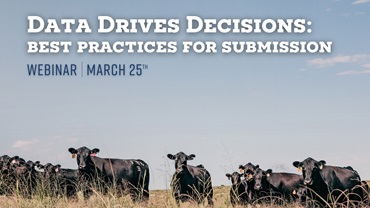 March 2025 Angus University Webinar: Data Drives Decisions: Best Practices for Submission