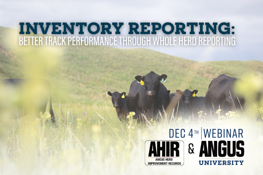  New Angus University Webinar explains AHIR’s Inventory Reporting program.   