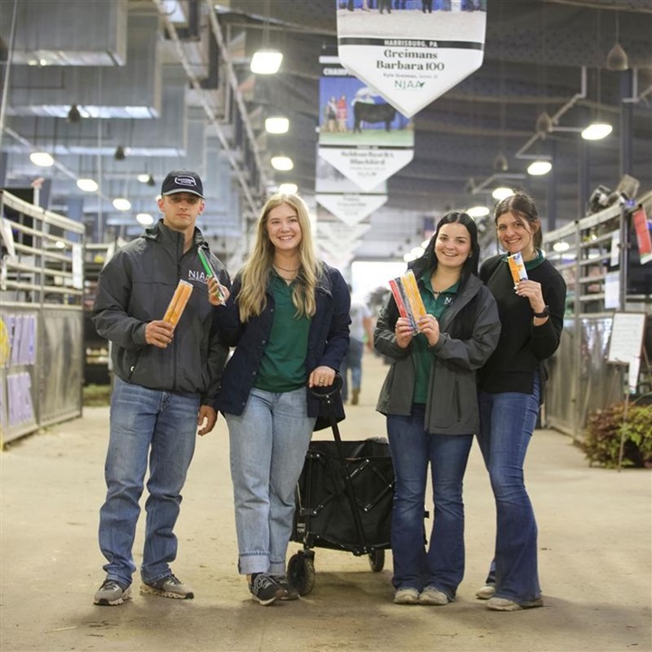 Four NJAA members holding popsicles in the stalls at National Junior Angus Show.