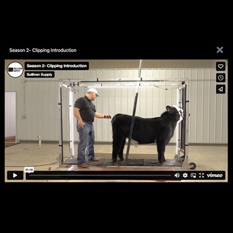 Stock Show University - Clipping video series thumbnail